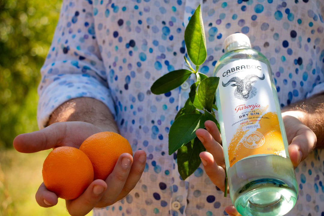 Cabraboc Gin