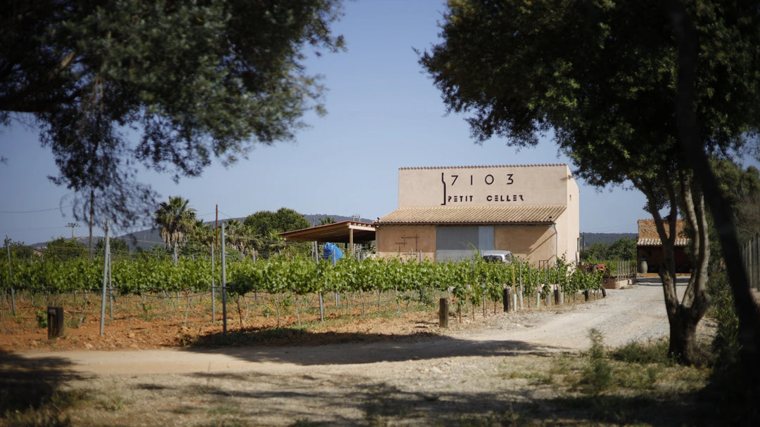 Weingut 7103 Petit Celler