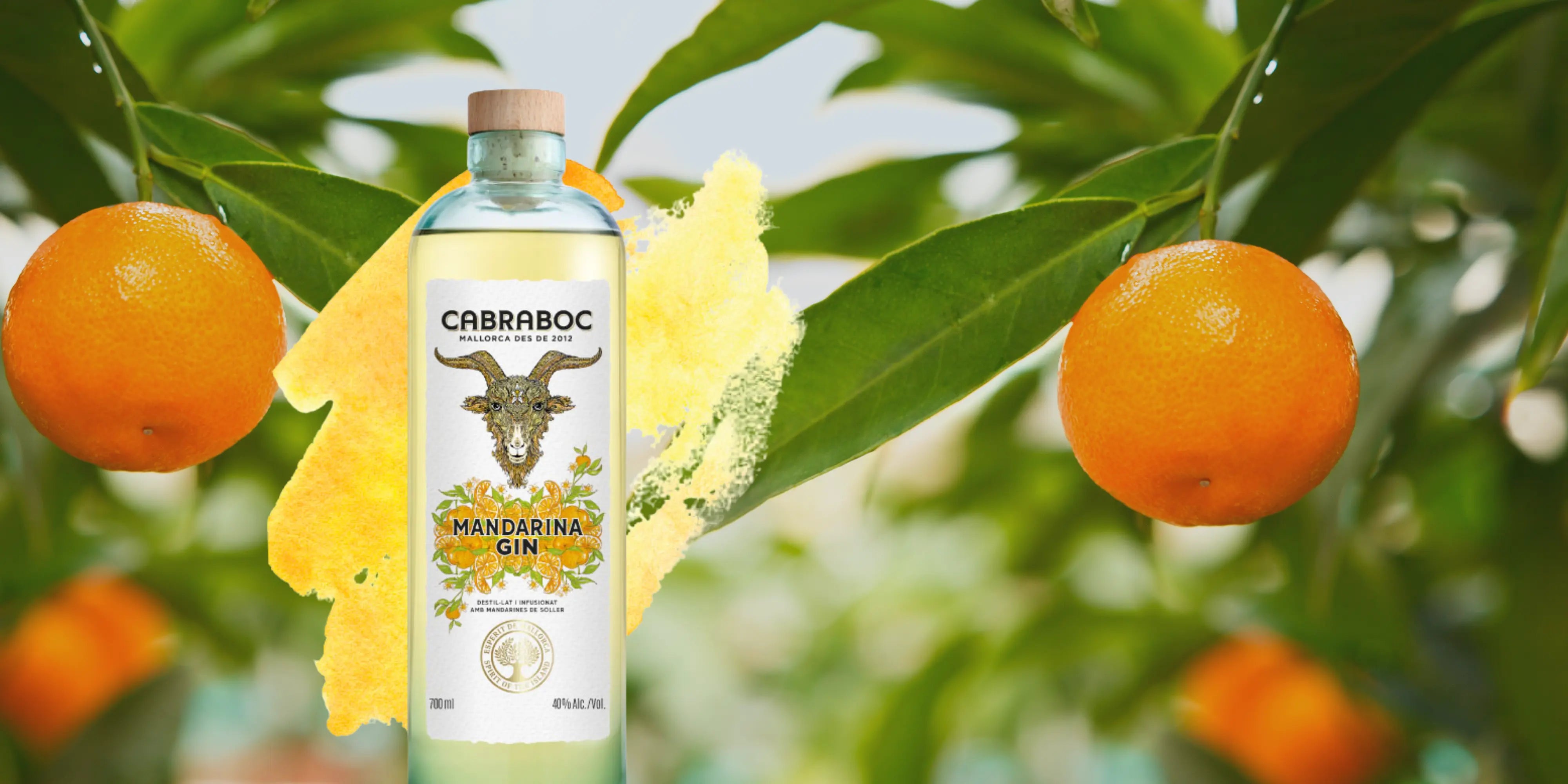 Mandarinen Gin von Cabraboc im Hintergrund Mandarinenbäume