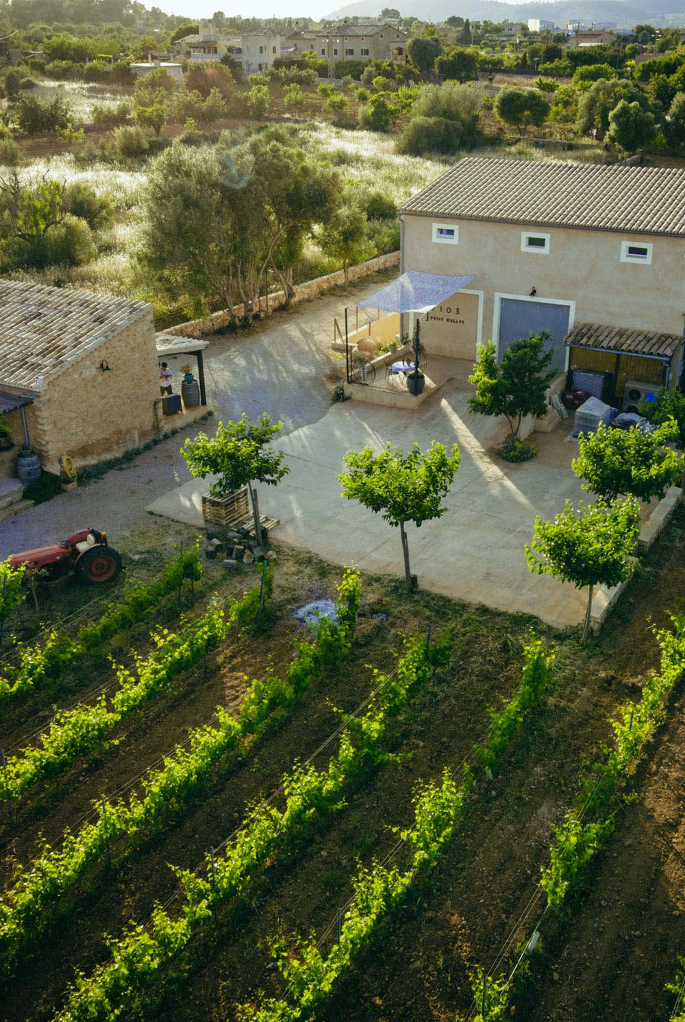 Weingut 7103 Petit Celler